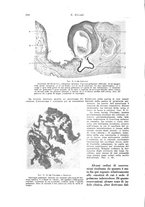 giornale/PUV0112329/1928/unico/00000218