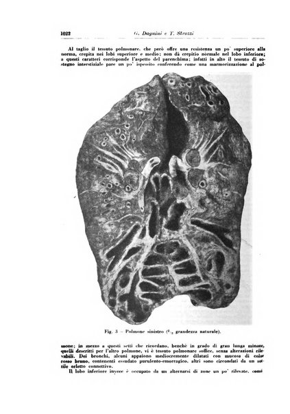 Rivista di patologia e clinica della tubercolosi organo ufficiale della Società italiana fascista di studi scientifici sulla tubercolosi