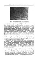 giornale/PUV0112329/1929/unico/00000435