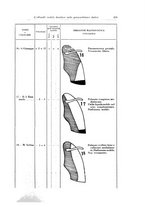 giornale/PUV0112329/1929/unico/00000533