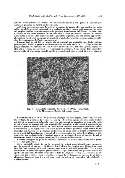 Rivista di patologia e clinica della tubercolosi organo ufficiale della Società italiana fascista di studi scientifici sulla tubercolosi