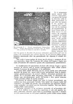 giornale/PUV0112329/1932/unico/00000048