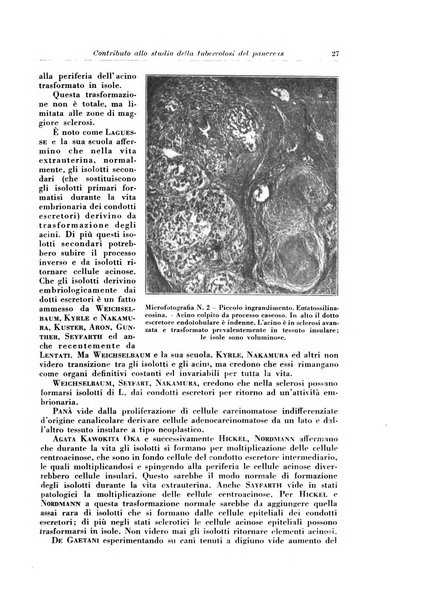 Rivista di patologia e clinica della tubercolosi organo ufficiale della Società italiana fascista di studi scientifici sulla tubercolosi