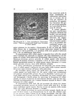 giornale/PUV0112329/1932/unico/00000052