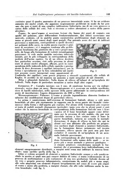 Rivista di patologia e clinica della tubercolosi organo ufficiale della Società italiana fascista di studi scientifici sulla tubercolosi