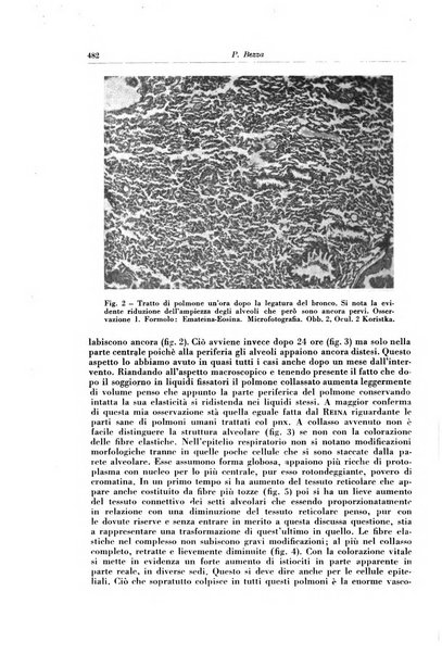 Rivista di patologia e clinica della tubercolosi organo ufficiale della Società italiana fascista di studi scientifici sulla tubercolosi