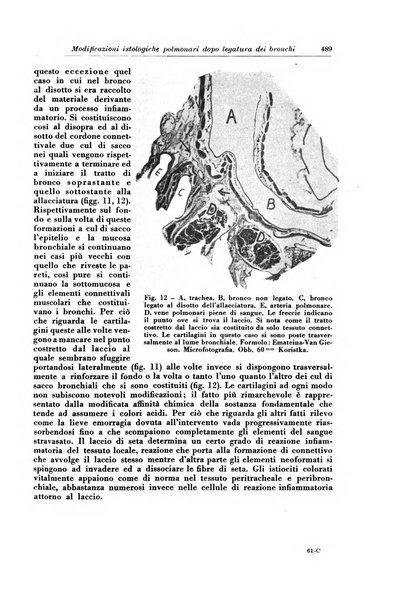 Rivista di patologia e clinica della tubercolosi organo ufficiale della Società italiana fascista di studi scientifici sulla tubercolosi