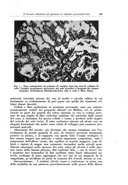 Rivista di patologia e clinica della tubercolosi organo ufficiale della Società italiana fascista di studi scientifici sulla tubercolosi