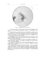 giornale/PUV0112329/1934/unico/00000222