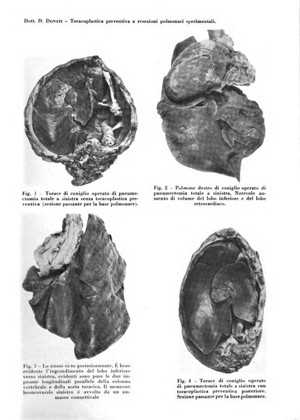 Rivista di patologia e clinica della tubercolosi organo ufficiale della Società italiana fascista di studi scientifici sulla tubercolosi