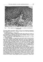 giornale/PUV0112329/1939/unico/00000289