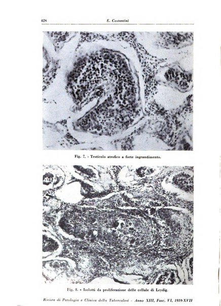 Rivista di patologia e clinica della tubercolosi organo ufficiale della Società italiana fascista di studi scientifici sulla tubercolosi