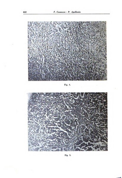 Rivista di patologia e clinica della tubercolosi organo ufficiale della Società italiana fascista di studi scientifici sulla tubercolosi