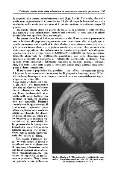 Rivista di patologia e clinica della tubercolosi organo ufficiale della Società italiana fascista di studi scientifici sulla tubercolosi