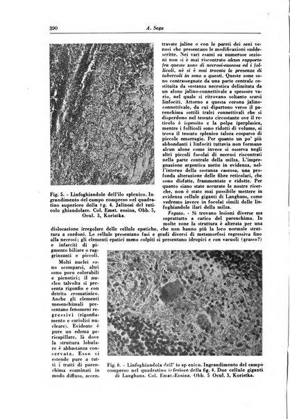 Rivista di patologia e clinica della tubercolosi organo ufficiale della Società italiana fascista di studi scientifici sulla tubercolosi