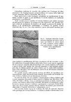 giornale/PUV0112329/1941/unico/00000494