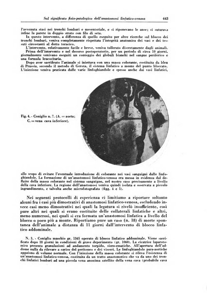 Rivista di patologia e clinica della tubercolosi organo ufficiale della Società italiana fascista di studi scientifici sulla tubercolosi