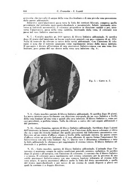 Rivista di patologia e clinica della tubercolosi organo ufficiale della Società italiana fascista di studi scientifici sulla tubercolosi