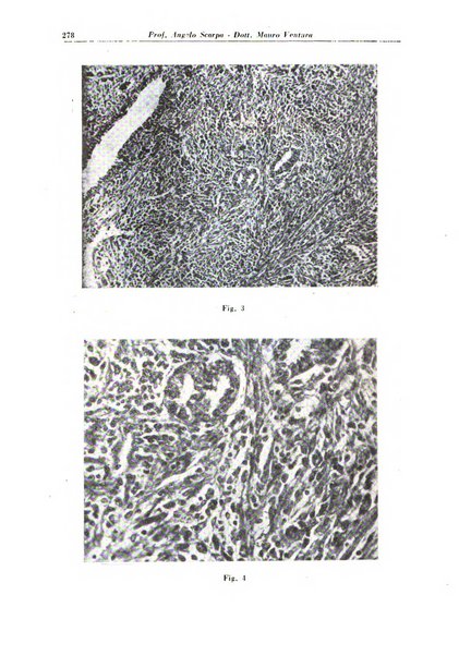 Rivista di patologia e clinica della tubercolosi organo ufficiale della Società italiana fascista di studi scientifici sulla tubercolosi