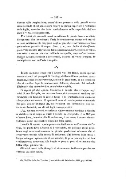 Le stazioni sperimentali agrarie italiane organo delle stazioni agrarie e dei laboratori di chimica agraria del Regno