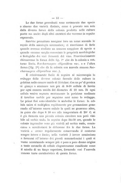 Le stazioni sperimentali agrarie italiane organo delle stazioni agrarie e dei laboratori di chimica agraria del Regno