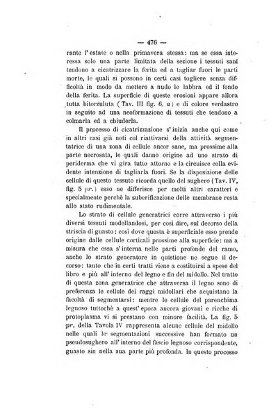 Le stazioni sperimentali agrarie italiane organo delle stazioni agrarie e dei laboratori di chimica agraria del Regno