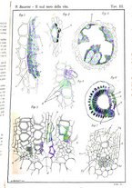 giornale/PUV0112468/1893/V.25/00000539