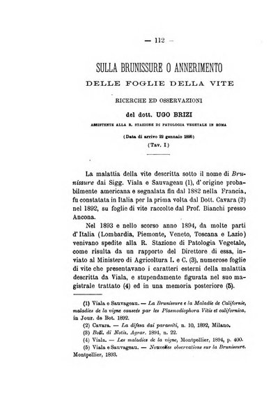 Le stazioni sperimentali agrarie italiane organo delle stazioni agrarie e dei laboratori di chimica agraria del Regno