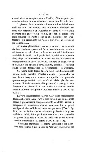 Le stazioni sperimentali agrarie italiane organo delle stazioni agrarie e dei laboratori di chimica agraria del Regno