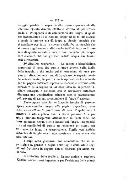 Le stazioni sperimentali agrarie italiane organo delle stazioni agrarie e dei laboratori di chimica agraria del Regno