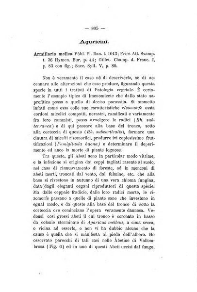 Le stazioni sperimentali agrarie italiane organo delle stazioni agrarie e dei laboratori di chimica agraria del Regno