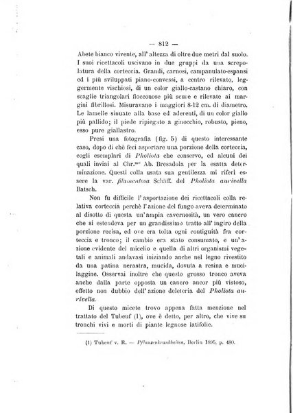 Le stazioni sperimentali agrarie italiane organo delle stazioni agrarie e dei laboratori di chimica agraria del Regno