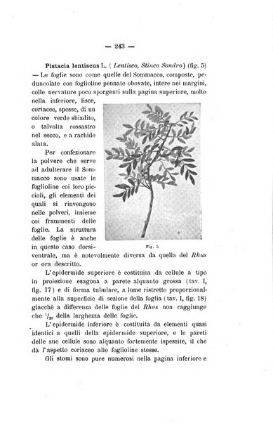 Le stazioni sperimentali agrarie italiane organo delle stazioni agrarie e dei laboratori di chimica agraria del Regno