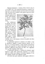 giornale/PUV0112468/1897/unico/00000241