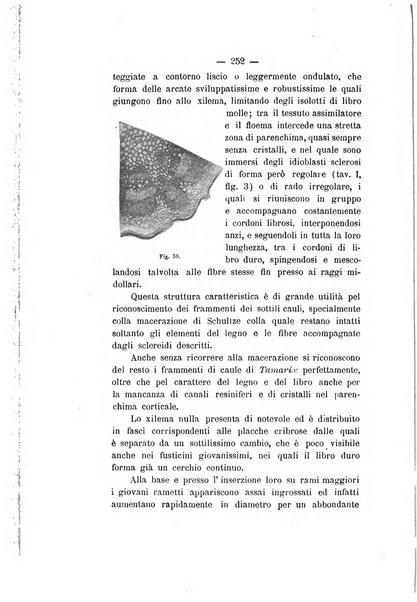 Le stazioni sperimentali agrarie italiane organo delle stazioni agrarie e dei laboratori di chimica agraria del Regno