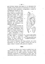 giornale/PUV0112468/1897/unico/00000365