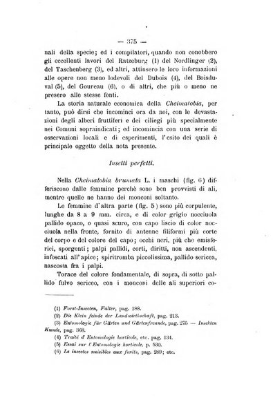 Le stazioni sperimentali agrarie italiane organo delle stazioni agrarie e dei laboratori di chimica agraria del Regno