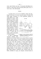 giornale/PUV0112468/1897/unico/00000379