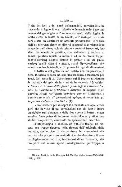 Le stazioni sperimentali agrarie italiane organo delle stazioni agrarie e dei laboratori di chimica agraria del Regno