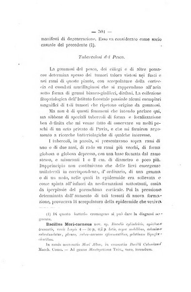 Le stazioni sperimentali agrarie italiane organo delle stazioni agrarie e dei laboratori di chimica agraria del Regno