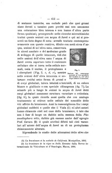 Le stazioni sperimentali agrarie italiane organo delle stazioni agrarie e dei laboratori di chimica agraria del Regno