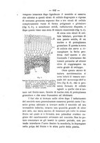 giornale/PUV0112468/1897/unico/00000676