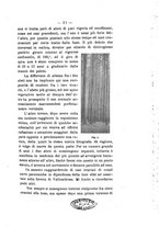 giornale/PUV0112468/1901/unico/00000027