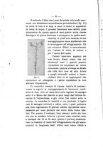 giornale/PUV0112468/1901/unico/00000036
