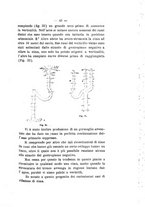 giornale/PUV0112468/1901/unico/00000049