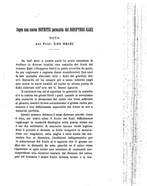 Le stazioni sperimentali agrarie italiane organo delle stazioni agrarie e dei laboratori di chimica agraria del Regno