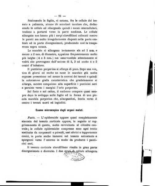 Le stazioni sperimentali agrarie italiane organo delle stazioni agrarie e dei laboratori di chimica agraria del Regno