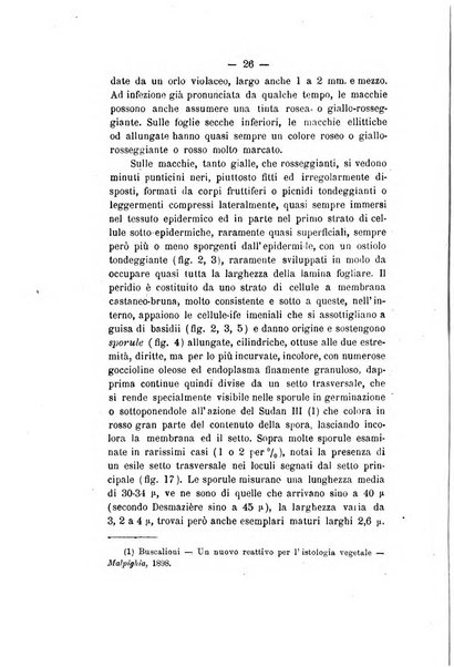 Le stazioni sperimentali agrarie italiane organo delle stazioni agrarie e dei laboratori di chimica agraria del Regno