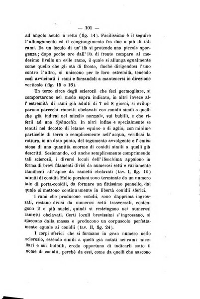 Le stazioni sperimentali agrarie italiane organo delle stazioni agrarie e dei laboratori di chimica agraria del Regno