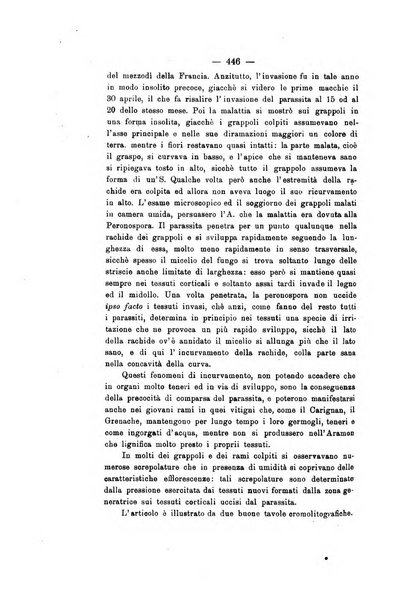 Le stazioni sperimentali agrarie italiane organo delle stazioni agrarie e dei laboratori di chimica agraria del Regno